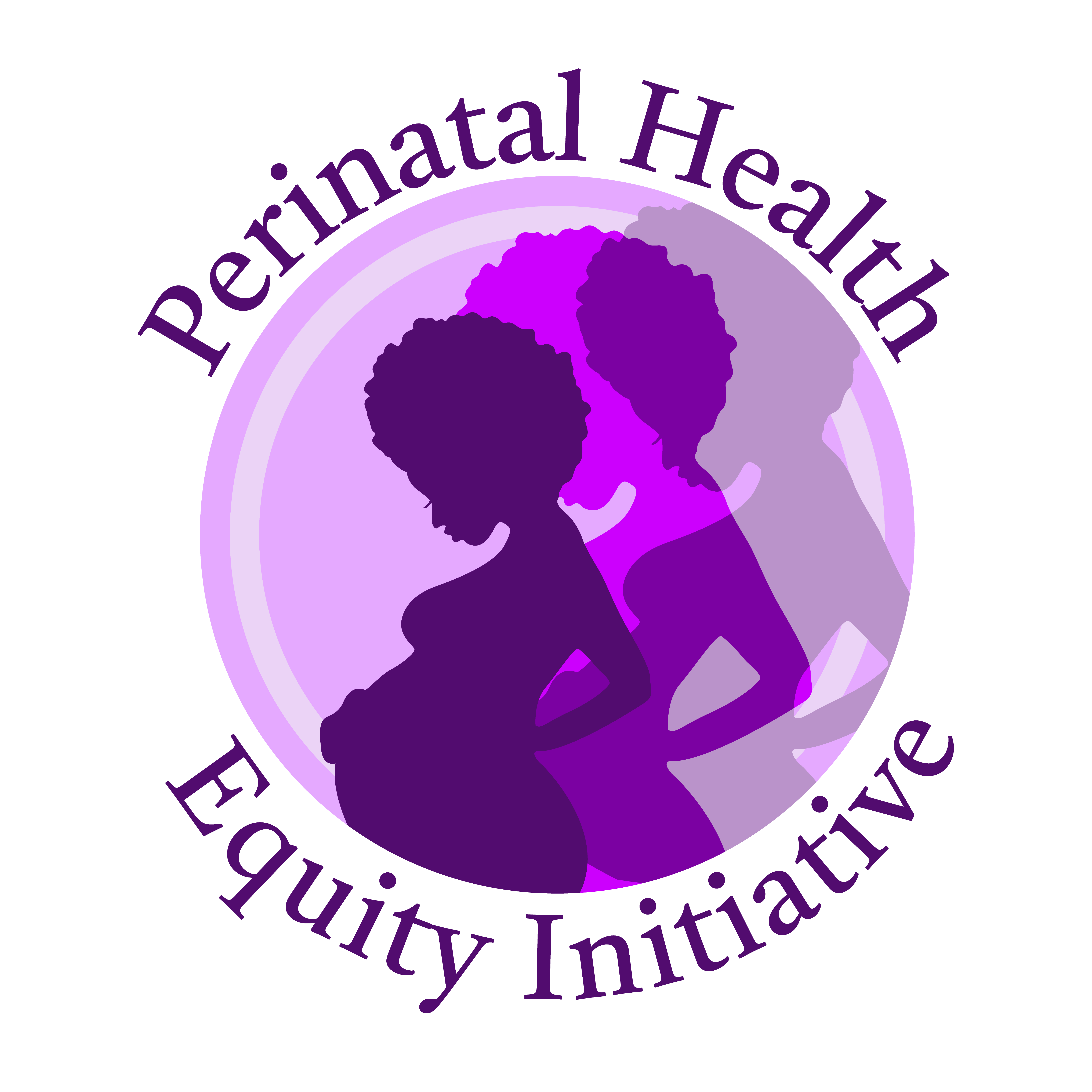 Perinatal Health Equity Initiative